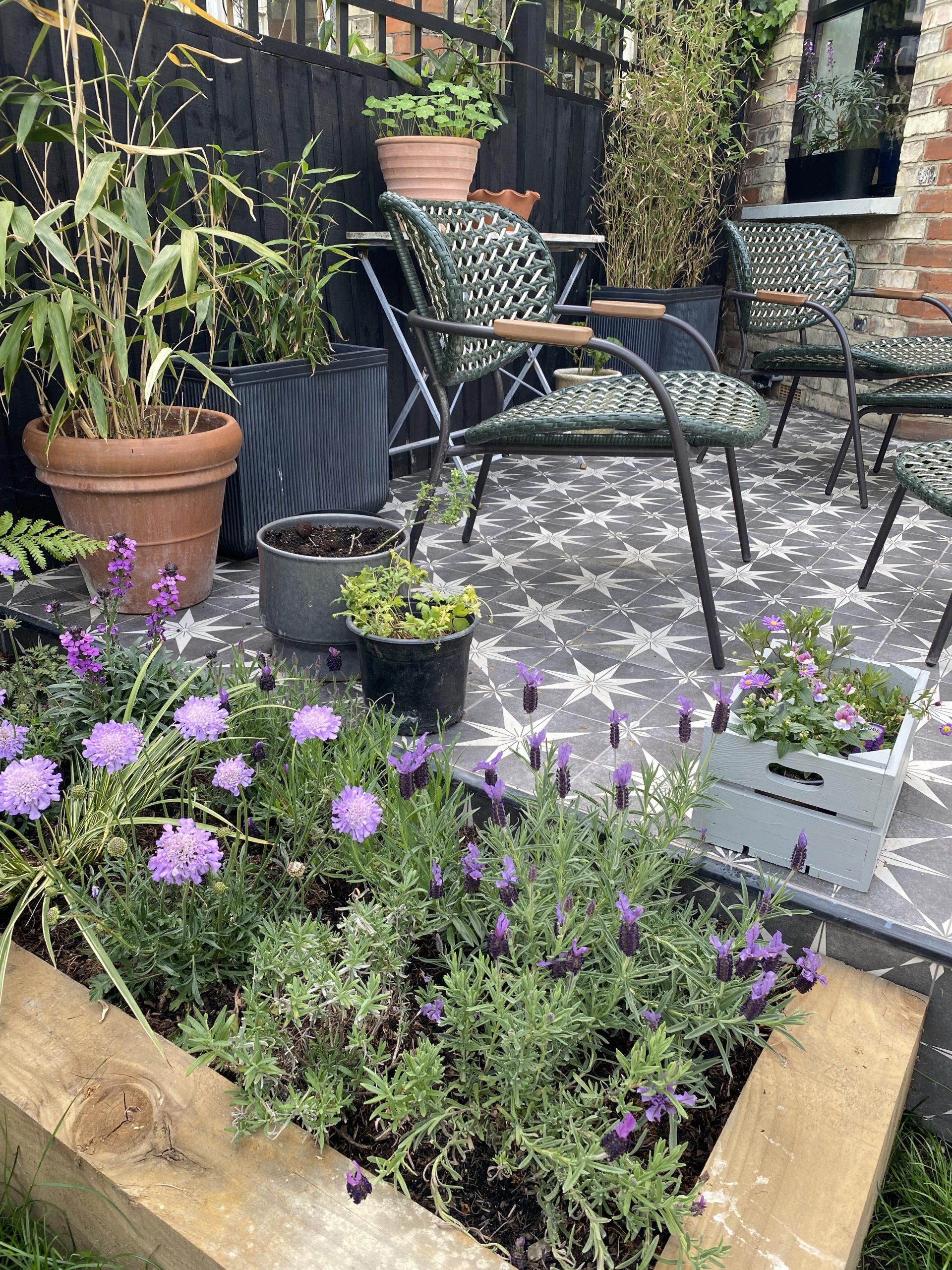 AFFORDABLE GARDENING